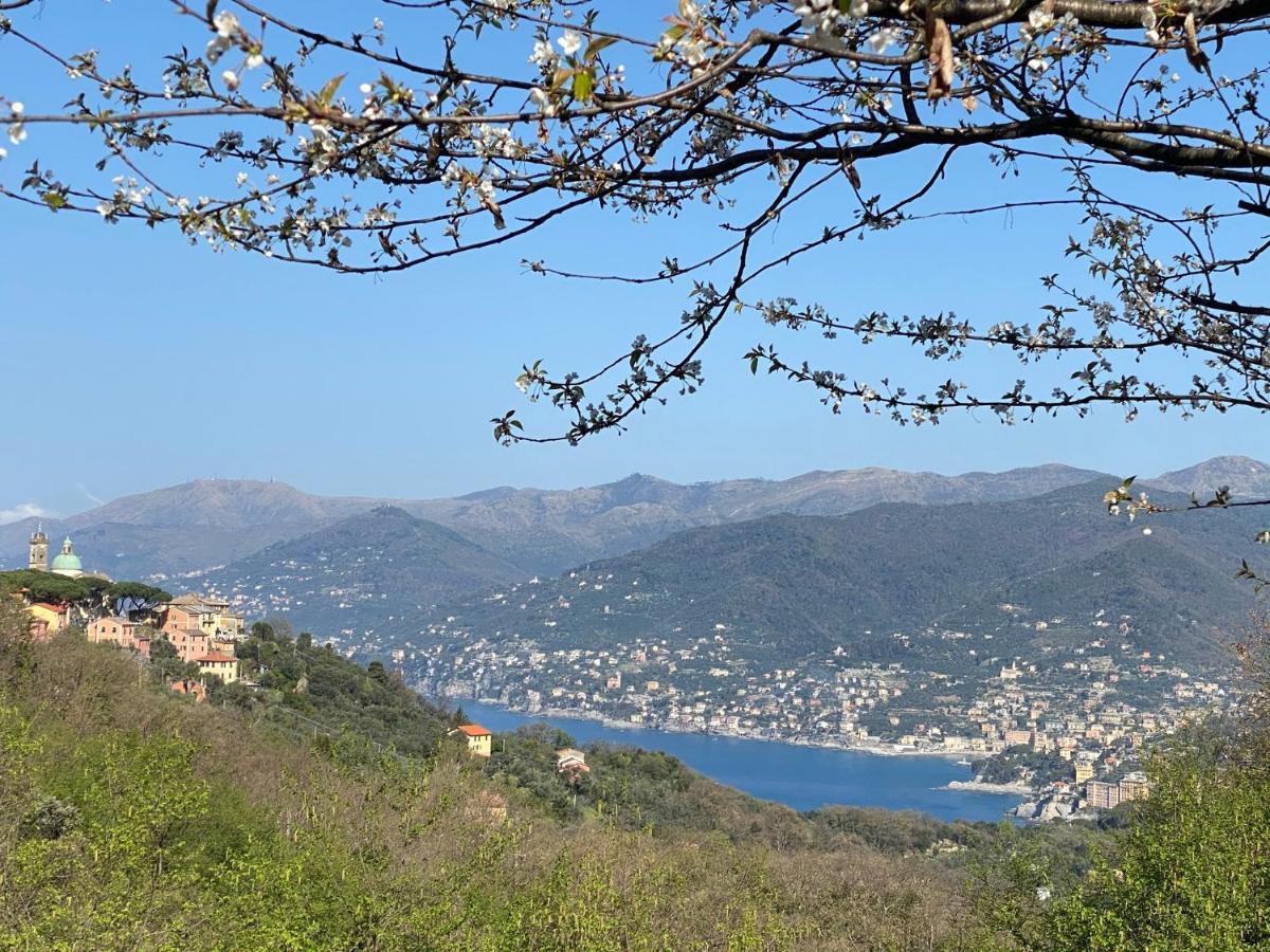 Liguria Home 4 - Recco Centro A 2 Minuti Dal Mare Exterior foto